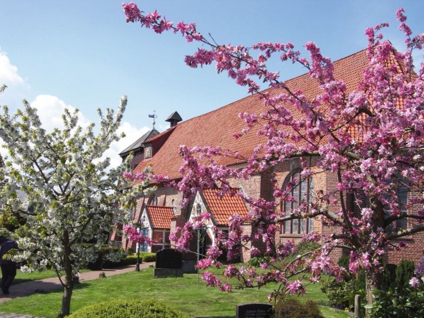 Altes Land - Obstbaumblüte T21